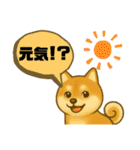 柴犬普段使いスタンプver.1（個別スタンプ：27）
