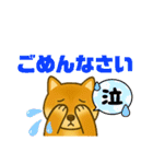 柴犬普段使いスタンプver.1（個別スタンプ：37）