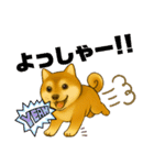 柴犬普段使いスタンプver.1（個別スタンプ：40）