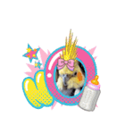 ノーマル☆オカメインコ百面相（個別スタンプ：26）