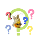 ノーマル☆オカメインコ百面相（個別スタンプ：29）