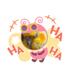 ノーマル☆オカメインコ百面相（個別スタンプ：31）