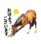 【競馬】競走馬と騎手2改【あけおめ対応】（個別スタンプ：21）