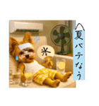 ヨーキーの夏休みスタンプ（個別スタンプ：1）