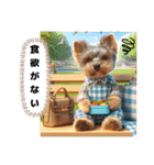 ヨーキーの夏休みスタンプ（個別スタンプ：3）