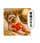 ヨーキーの夏休みスタンプ（個別スタンプ：4）