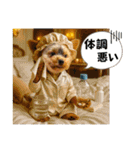 ヨーキーの夏休みスタンプ（個別スタンプ：7）