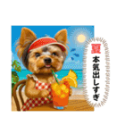 ヨーキーの夏休みスタンプ（個別スタンプ：10）
