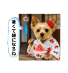 ヨーキーの夏休みスタンプ（個別スタンプ：11）