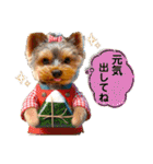 ヨーキーの夏休みスタンプ（個別スタンプ：15）