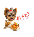 ヨーキーの夏休みスタンプ（個別スタンプ：22）