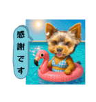 ヨーキーの夏休みスタンプ（個別スタンプ：23）