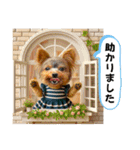 ヨーキーの夏休みスタンプ（個別スタンプ：24）