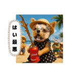 ヨーキーの夏休みスタンプ（個別スタンプ：26）