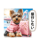 ヨーキーの夏休みスタンプ（個別スタンプ：33）