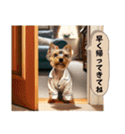 ヨーキーの夏休みスタンプ（個別スタンプ：36）