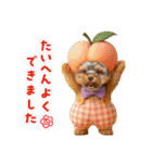 ヨーキーの夏休みスタンプ（個別スタンプ：38）