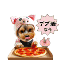 ヨーキーの夏休みスタンプ（個別スタンプ：39）