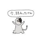 岡山弁や津山弁なネコたちの日常スタンプ（個別スタンプ：6）