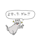 岡山弁や津山弁なネコたちの日常スタンプ（個別スタンプ：11）