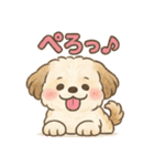 ふわもこシーズーの日常スタンプ（個別スタンプ：4）