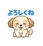 ふわもこシーズーの日常スタンプ（個別スタンプ：5）