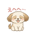 ふわもこシーズーの日常スタンプ（個別スタンプ：6）