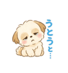 ふわもこシーズーの日常スタンプ（個別スタンプ：10）