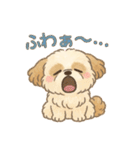 ふわもこシーズーの日常スタンプ（個別スタンプ：11）