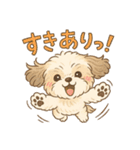 ふわもこシーズーの日常スタンプ（個別スタンプ：12）