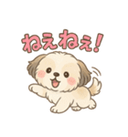 ふわもこシーズーの日常スタンプ（個別スタンプ：13）