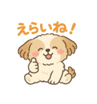 ふわもこシーズーの日常スタンプ（個別スタンプ：16）