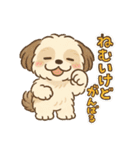 ふわもこシーズーの日常スタンプ（個別スタンプ：17）