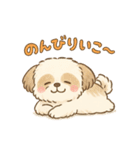 ふわもこシーズーの日常スタンプ（個別スタンプ：18）