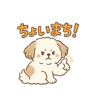 ふわもこシーズーの日常スタンプ（個別スタンプ：21）