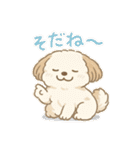 ふわもこシーズーの日常スタンプ（個別スタンプ：22）