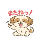 ふわもこシーズーの日常スタンプ（個別スタンプ：26）