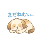 ふわもこシーズーの日常スタンプ（個別スタンプ：29）