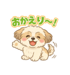 ふわもこシーズーの日常スタンプ（個別スタンプ：31）