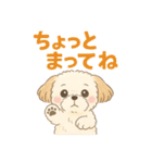ふわもこシーズーの日常スタンプ（個別スタンプ：36）