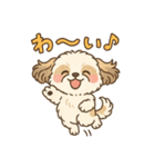 ふわもこシーズーの日常スタンプ（個別スタンプ：37）
