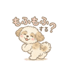 ふわもこシーズーの日常スタンプ（個別スタンプ：40）