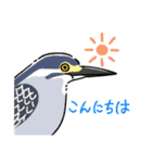 時々関西弁な野鳥たち（個別スタンプ：3）