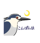 時々関西弁な野鳥たち（個別スタンプ：4）