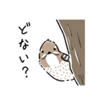 時々関西弁な野鳥たち（個別スタンプ：20）