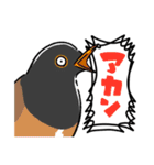 時々関西弁な野鳥たち（個別スタンプ：25）