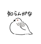 時々関西弁な野鳥たち（個別スタンプ：33）