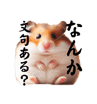 かわいいけどクセ強め。ハムスターの日常（個別スタンプ：16）