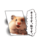 かわいいけどクセ強め。ハムスターの日常（個別スタンプ：32）