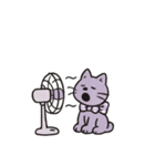 パープルCATS（個別スタンプ：9）